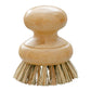Agave & Bamboo Vegetable or Kitchen Scrub Brush