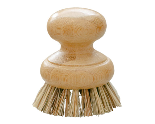 Agave & Bamboo Vegetable or Kitchen Scrub Brush